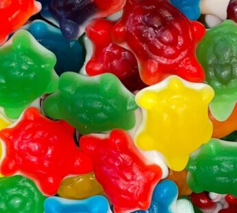 Jelly Turtles Assorted