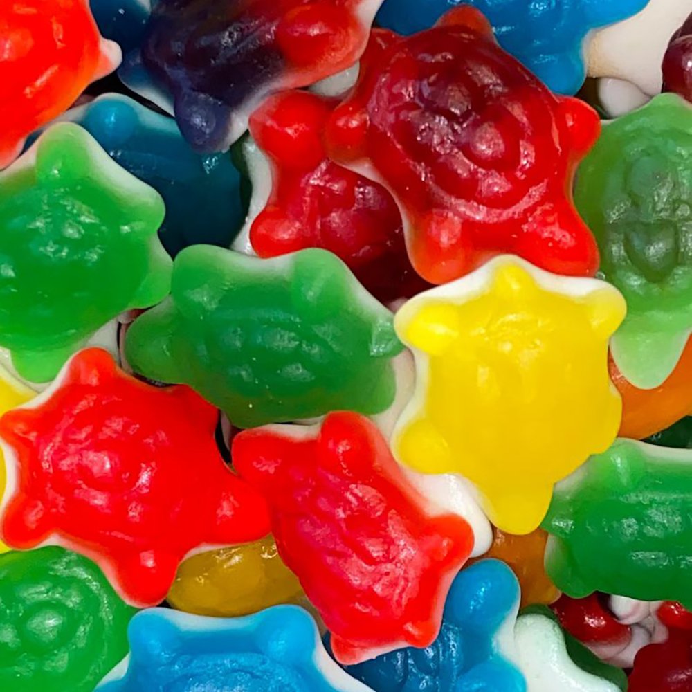Jelly Turtles Assorted